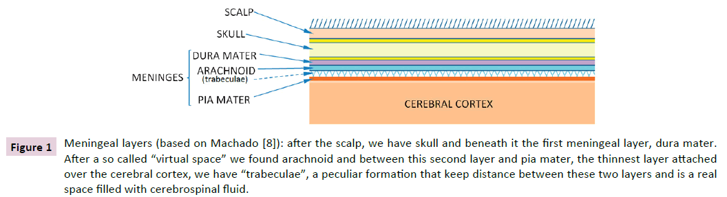 Psychopathologic-Meningeal-layers