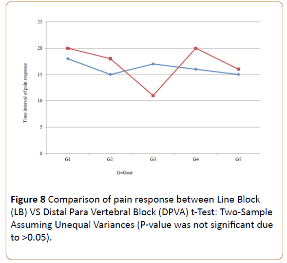 Veterinary-Medicine-pain-response