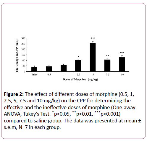 addictive-behaviors-therapy-doses-morphine