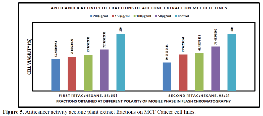 advanced-drug-delivery-Cancer-cell