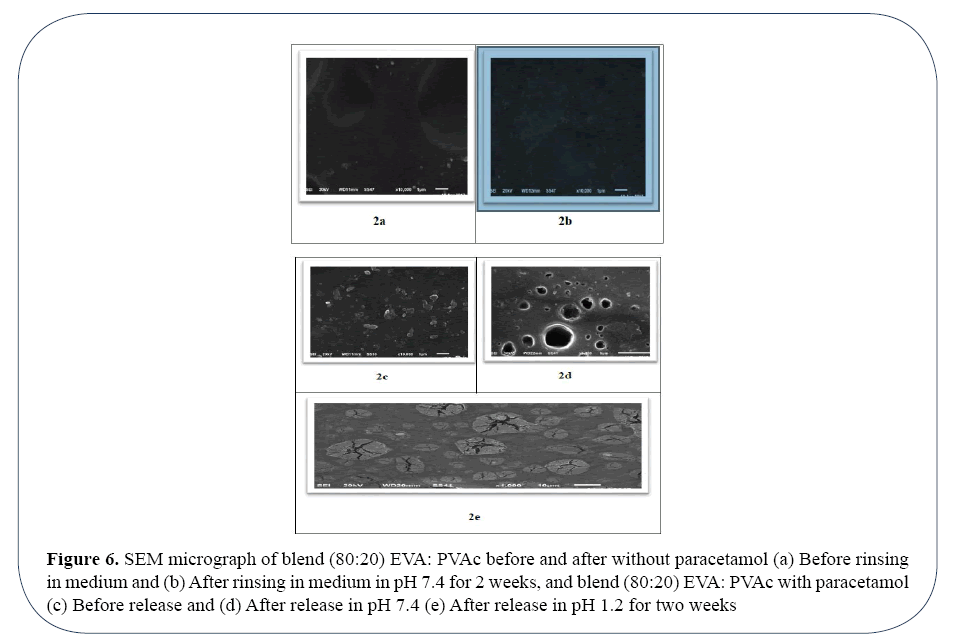 advanced-drug-delivery-analyses