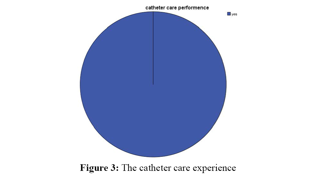 advanced-drug-delivery-catheter-care