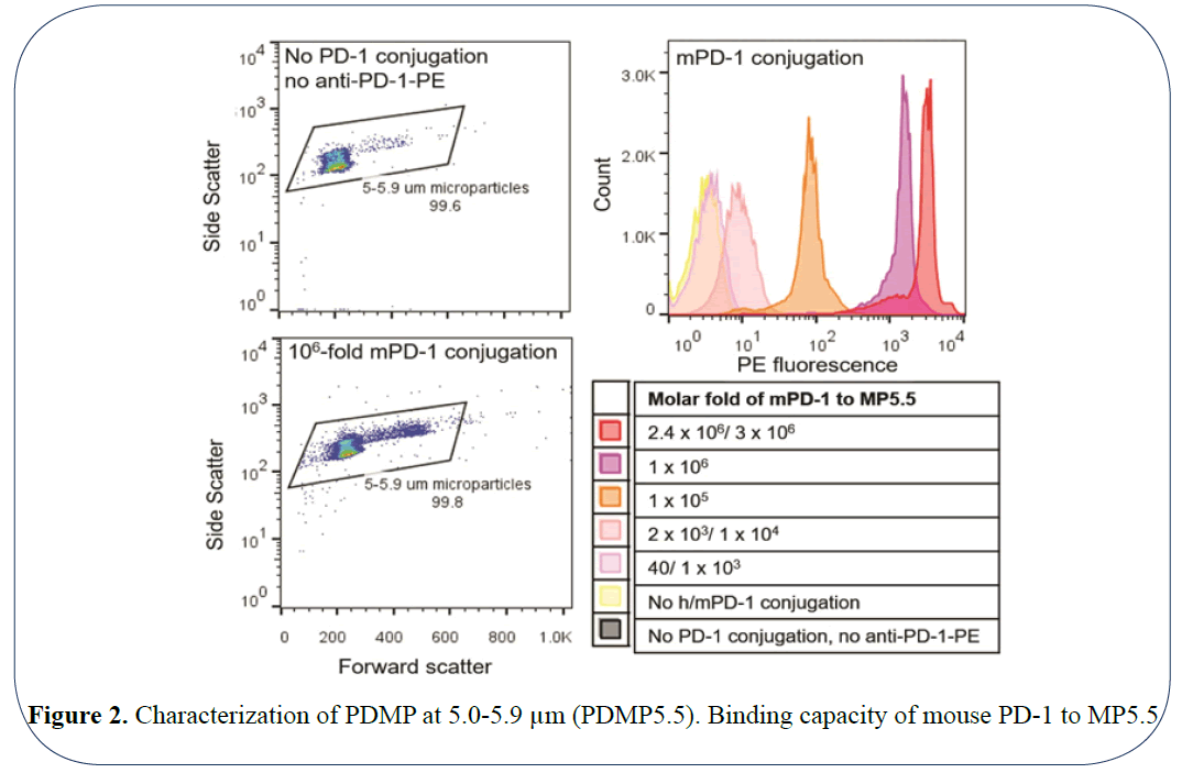 advanced-drug-delivery-characterization-capacity