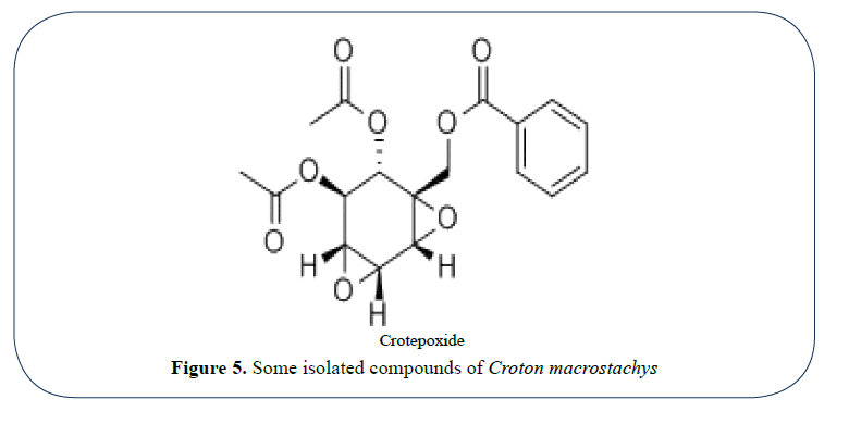 advanced-drug-delivery-compounds