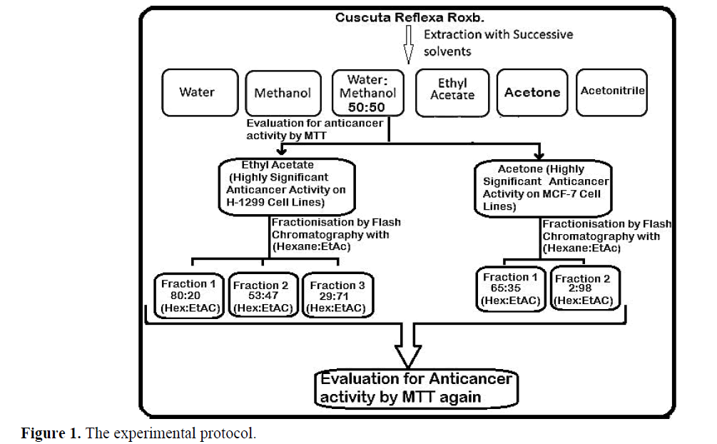 advanced-drug-delivery-experimental-protocol