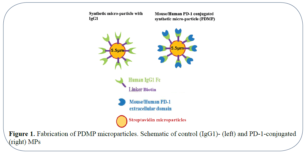 advanced-drug-delivery-fabrication-microparticles