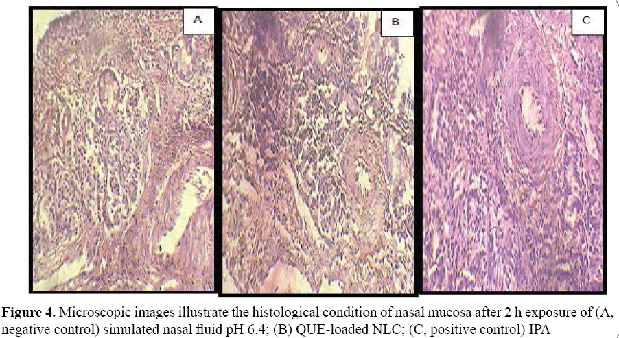 advanced-drug-delivery-histological