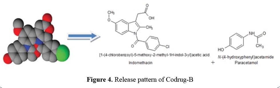 advanced-drug-delivery-hydrolysis-pattern-codrug-B