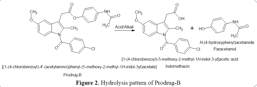 advanced-drug-delivery-hydrolysis-pattern-prodrug-B
