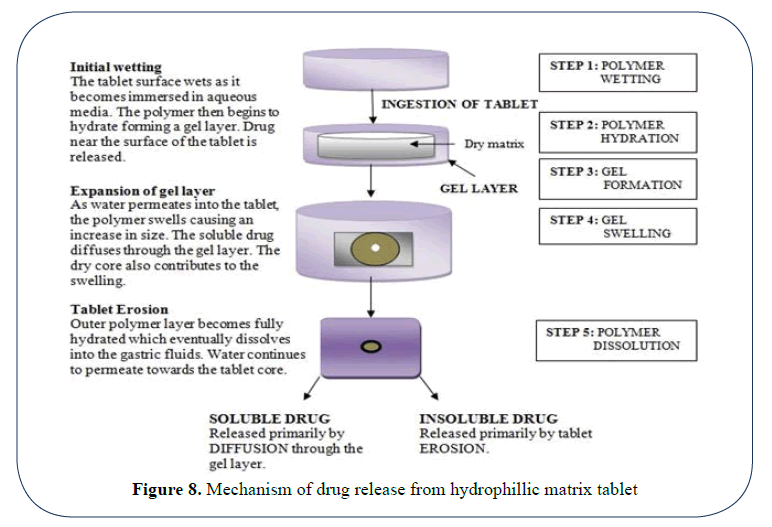 advanced-drug-delivery-hydrophillic