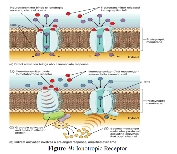 advanced-drug-delivery-ionotropic-receptor