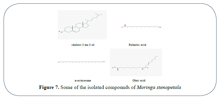 advanced-drug-delivery-isolated