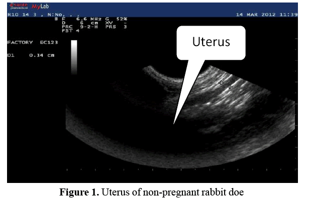 advanced-drug-delivery-non-pregnant