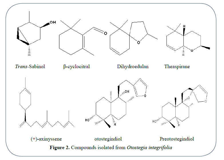 advanced-drug-delivery-otostegia