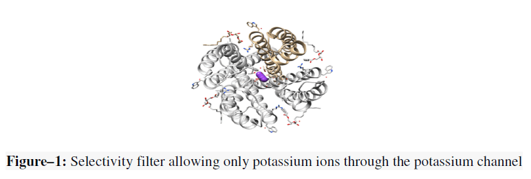 advanced-drug-delivery-potassium-ions