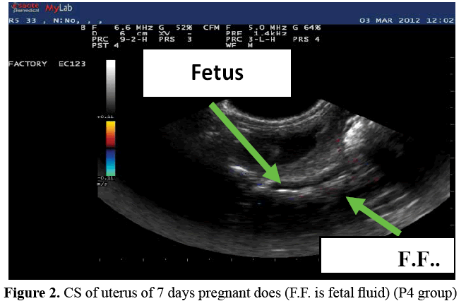 advanced-drug-delivery-pregnant