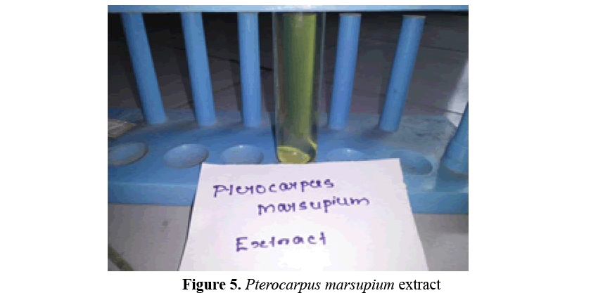 advanced-drug-delivery-pterocarpus-marsupium