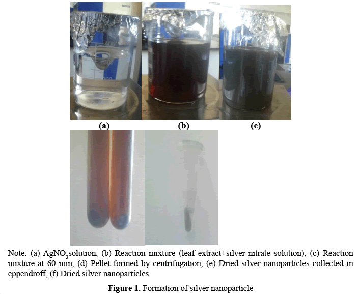 advanced-drug-delivery-silver