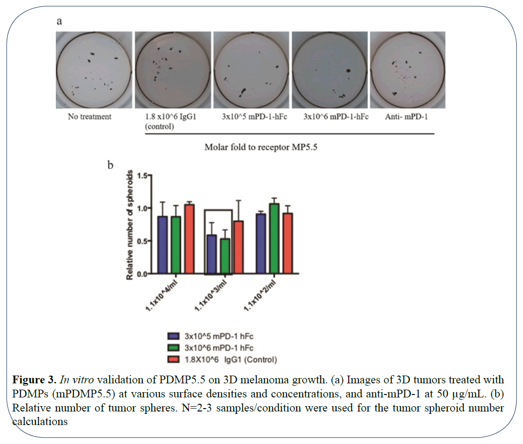 advanced-drug-delivery-validation-melanoma