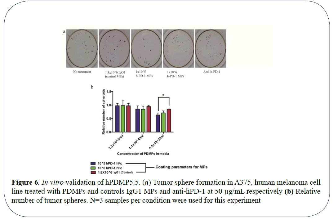 advanced-drug-delivery-validation-tumor-sphere