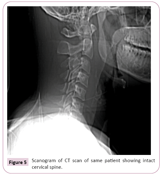 advances-in-applied-science-research-spine