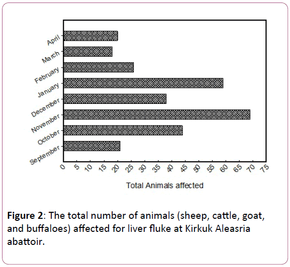animal-sciences-and-livestock-production-Kirkuk-Aleasria