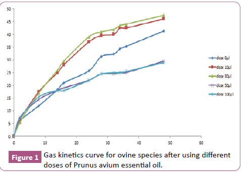 animal-sciences-and-livestock-production-Prunus-avium