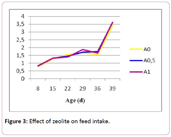 animal-sciences-and-livestock-production-feed-intake