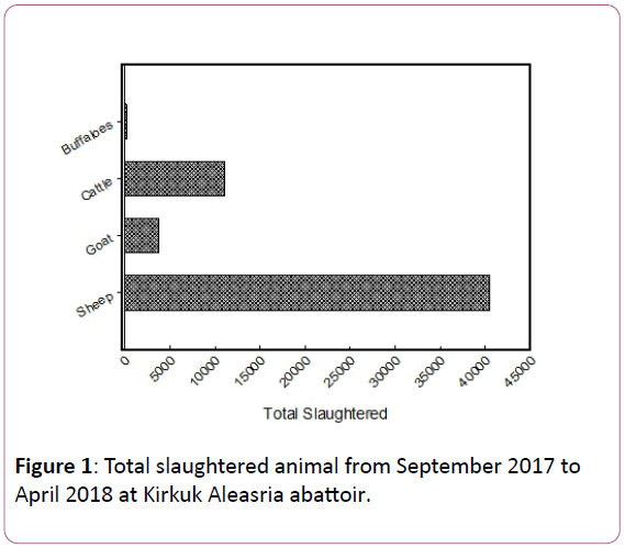 animal-sciences-and-livestock-production-slaughtered-animal