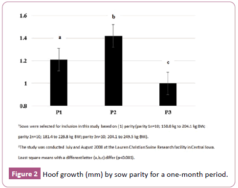 animal-sciences-and-livestock-production-sow-parity