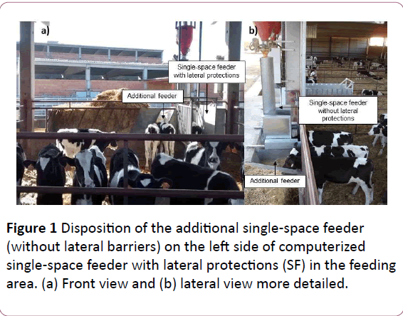 animal-sciences-livestock-production-Front-view