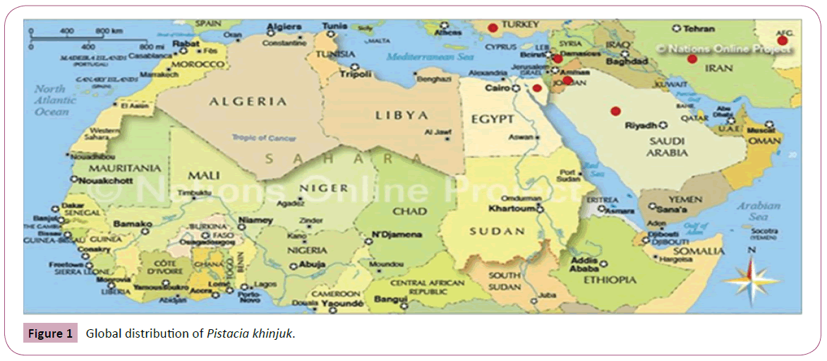 applied-science-Global-distribution