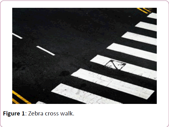 applied-science-Zebra-cross