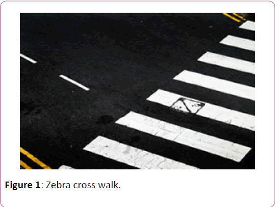 THE BLACK AND WHITE OF ROAD SAFETY: ZEBRA-CROSSING - Health Emergency  Initiative