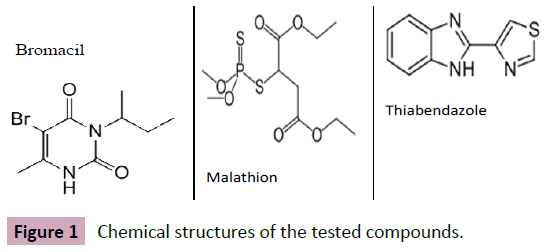 applied-science-research-review-Chemical-structures