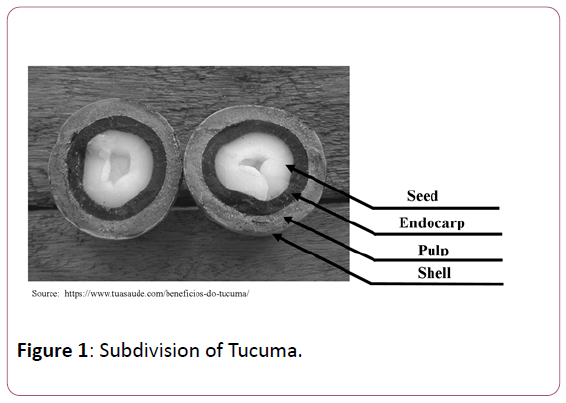 applied-science-research-review-Subdivision-Tucuma