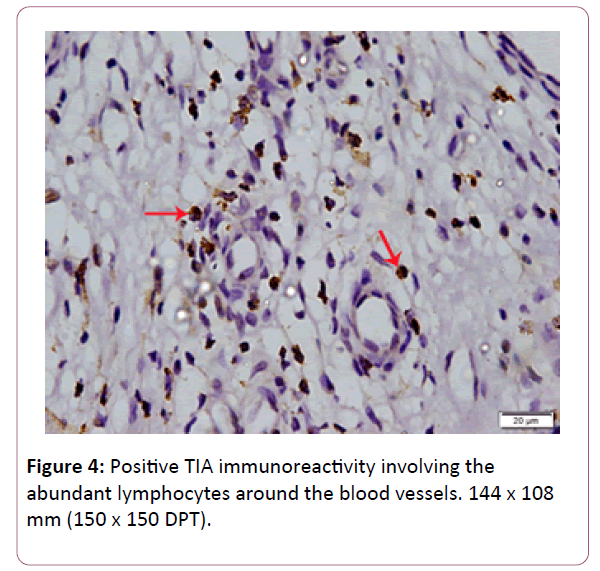 applied-science-research-review-blood-vessels