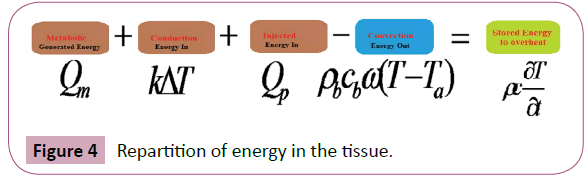 applied-science-research-review-energy-tissue