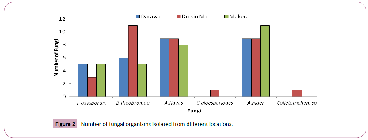 applied-science-research-review-fungal-organisms