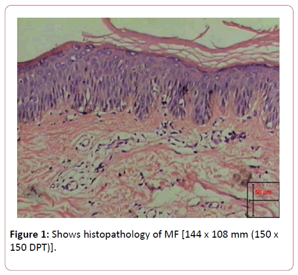 applied-science-research-review-histopathology