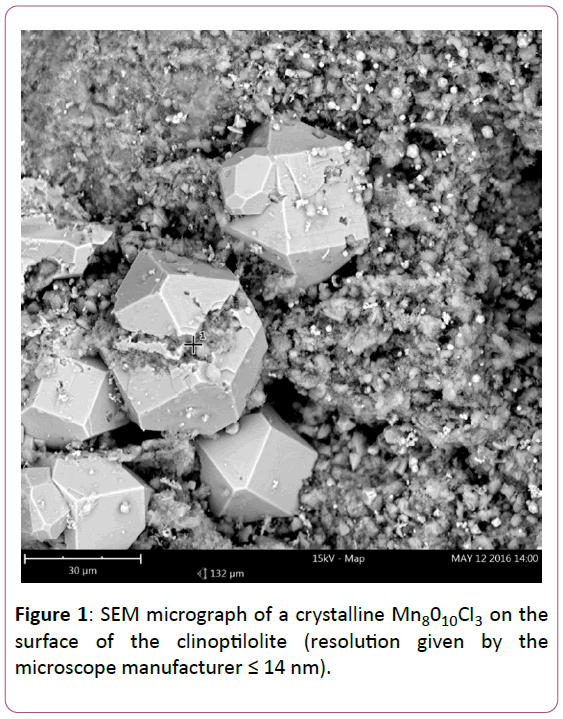 applied-science-research-review-micrograph-crystalline