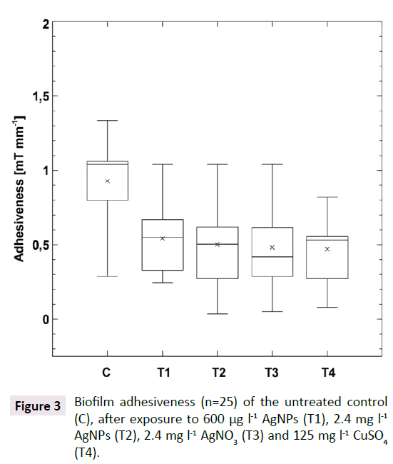 aquatic-pollution-Biofilm-adhesiveness