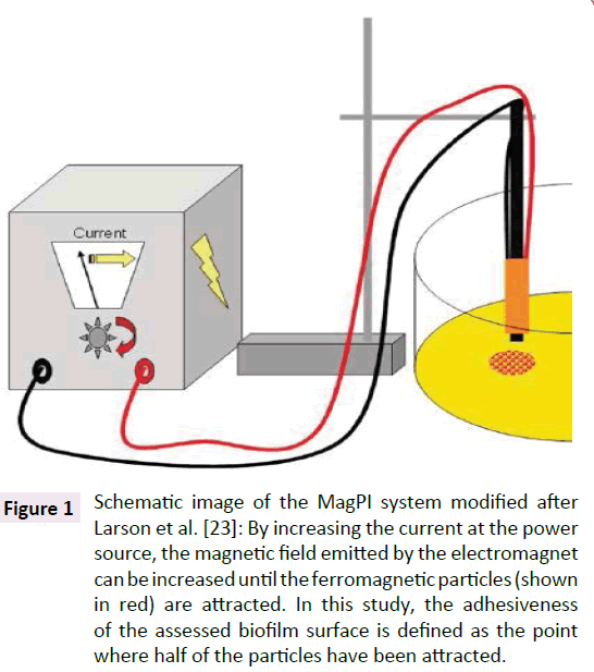 aquatic-pollution-Schematic-image