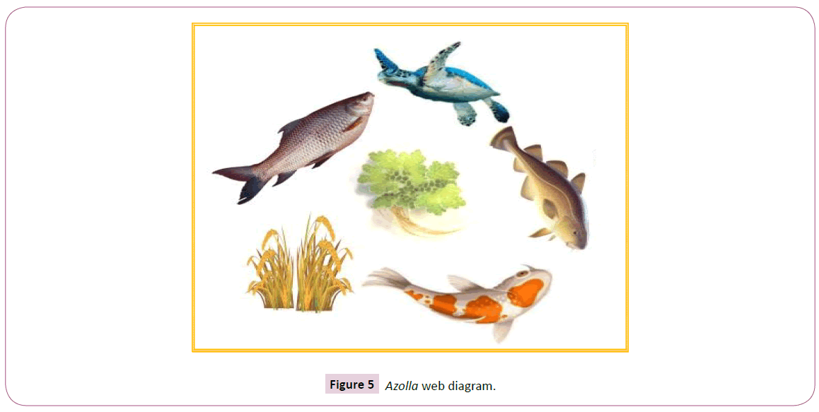 aquatic-pollution-and-toxicology-web-diagram