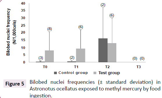 aquatic-pollution-standard-deviation