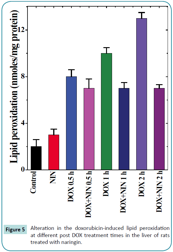 biochem-molbio-Alteration-doxorubicin