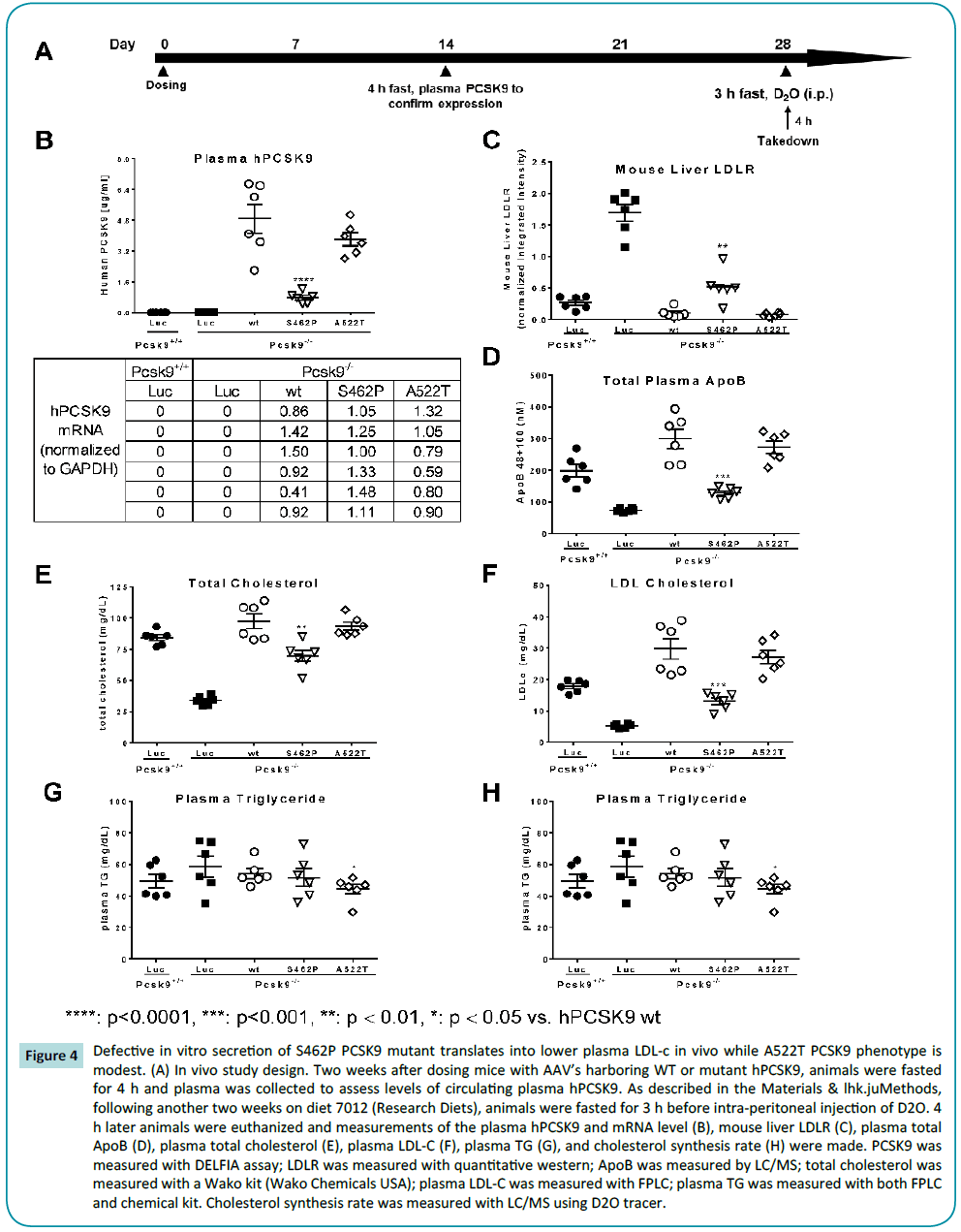 biochem-molbio-Defective-in-vitro-secretion