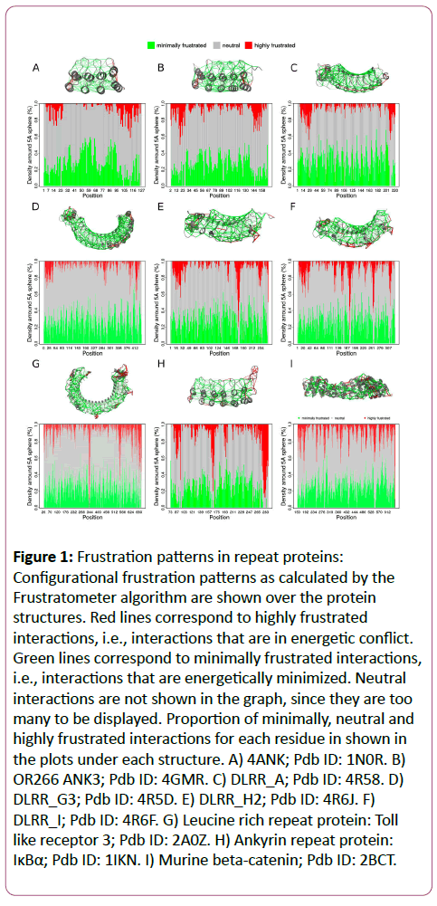 biochem-molbio-Frustration-patterns-repeat-proteins
