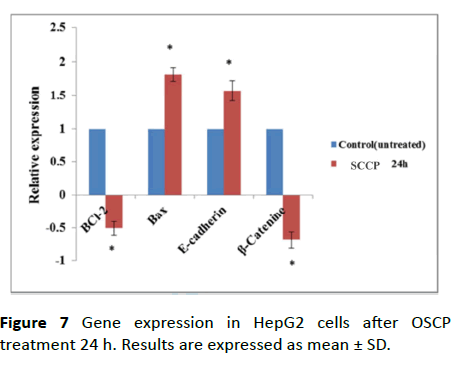 biochem-molbio-Gene-expression