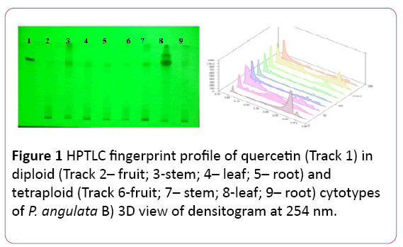 biochem-molbio-HPTLC-fingerprint